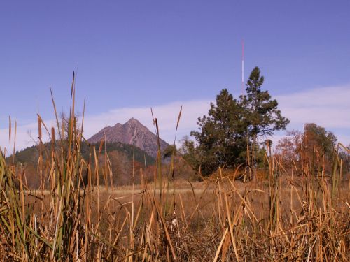 A mountain rises in the background, framed by tall grasses and trees under a clear blue sky.