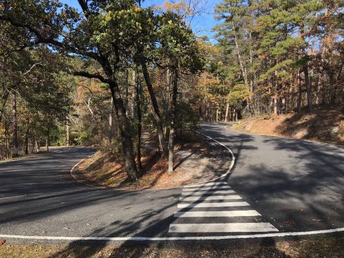 A winding road curves through a forested area with trees and fallen leaves under a clear blue sky.