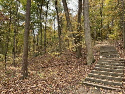 A forest path with stone steps leading up through trees adorned with autumn leaves.