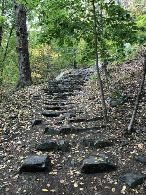Stone steps lead up a forested path, surrounded by trees and scattered autumn leaves.
