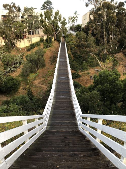A wooden bridge leads through greenery, connecting two sides of a hillside in a serene outdoor setting.