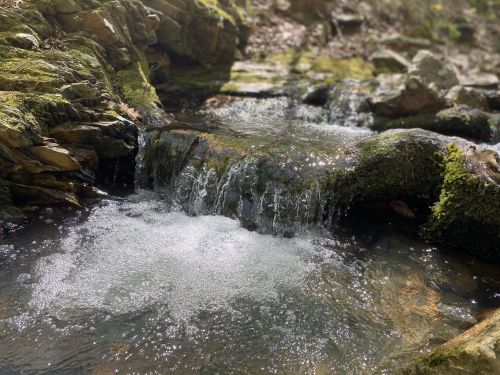 A serene stream with small waterfalls cascading over moss-covered rocks in a tranquil forest setting.