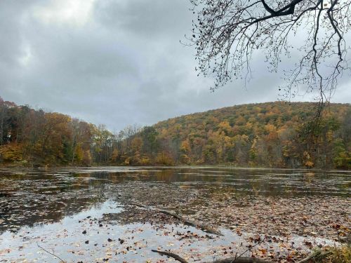 A serene lake surrounded by autumn foliage and a cloudy sky, with fallen leaves scattered on the water's surface.