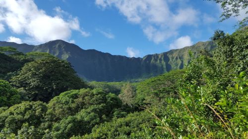 Lush green mountains under a blue sky with scattered clouds, showcasing a vibrant tropical landscape.