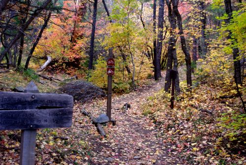 A forest trail surrounded by colorful autumn leaves, with trail signs indicating directions and bike access.