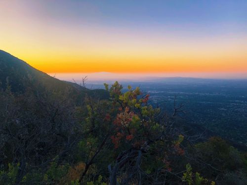 A scenic view of a sunset over a valley, with colorful foliage in the foreground and mountains in the background.
