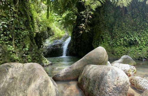 A serene natural scene featuring a small waterfall surrounded by lush greenery and large, smooth rocks in a tranquil pool.