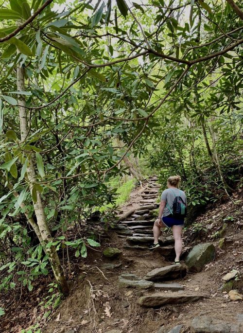 A person walks up a wooden trail surrounded by lush greenery and trees.