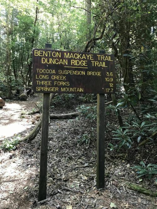 Signpost in a forest listing trail names and distances: Benton Mackaye Trail, Duncan Ridge Trail, Toccoa Suspension Bridge, etc.