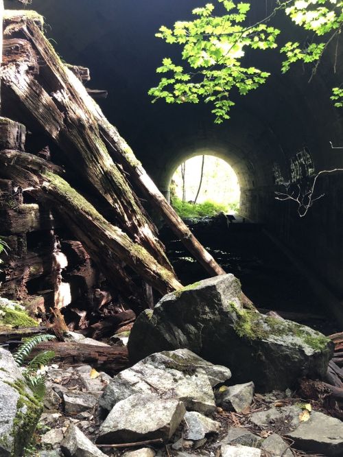 A view of a dark tunnel framed by trees and rocks, with light shining through the tunnel's opening.