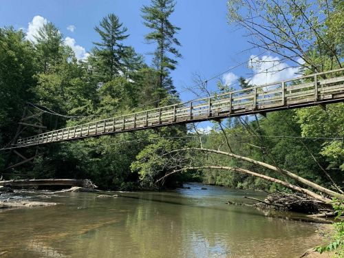 A wooden suspension bridge spans a calm river, surrounded by lush green trees and a clear blue sky.