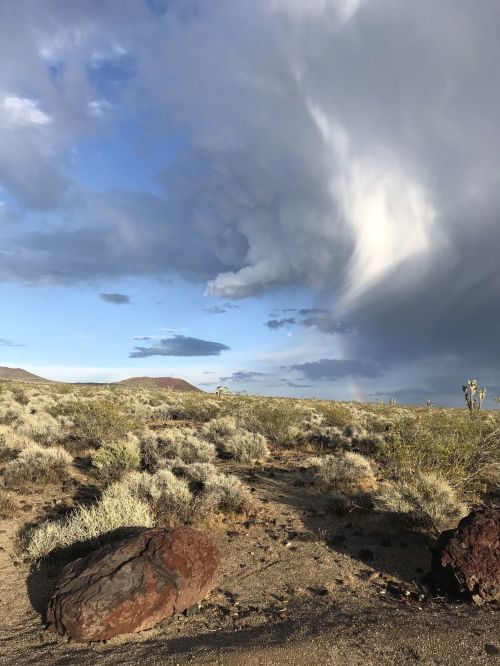 A desert landscape with scattered shrubs, a large rock in the foreground, and dramatic clouds in the sky.