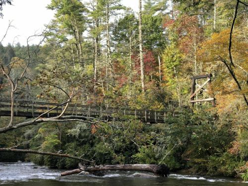 A wooden bridge spans a river, surrounded by lush trees with autumn foliage in vibrant colors.