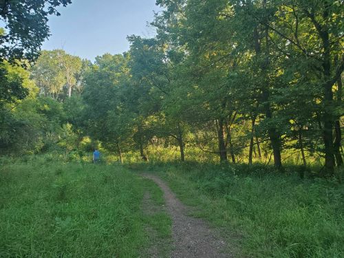 A winding dirt path through lush green trees and grass, with a person in blue walking in the distance.