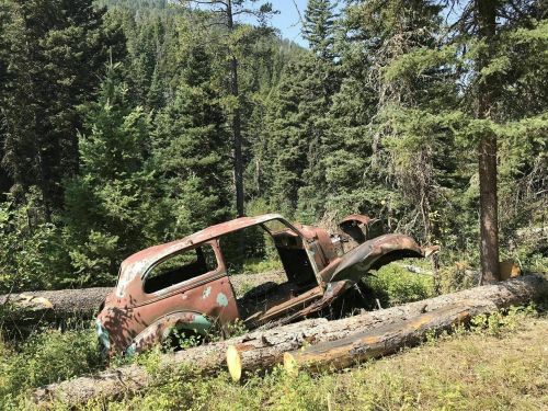 An old, rusted car partially hidden in a forest, surrounded by trees and fallen logs.