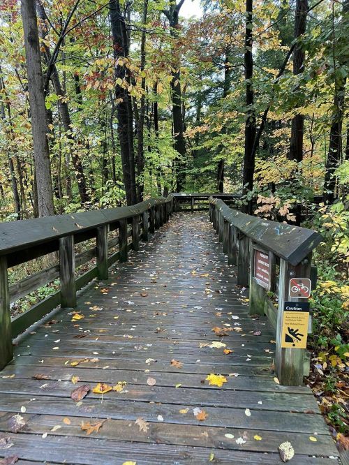 A wooden boardwalk through a forest, surrounded by autumn leaves and trees, with caution signs visible.