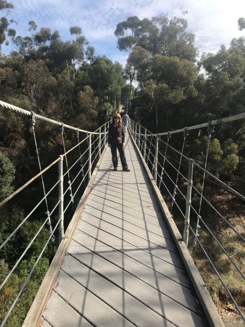 A person stands on a suspension bridge surrounded by trees and greenery under a partly cloudy sky.