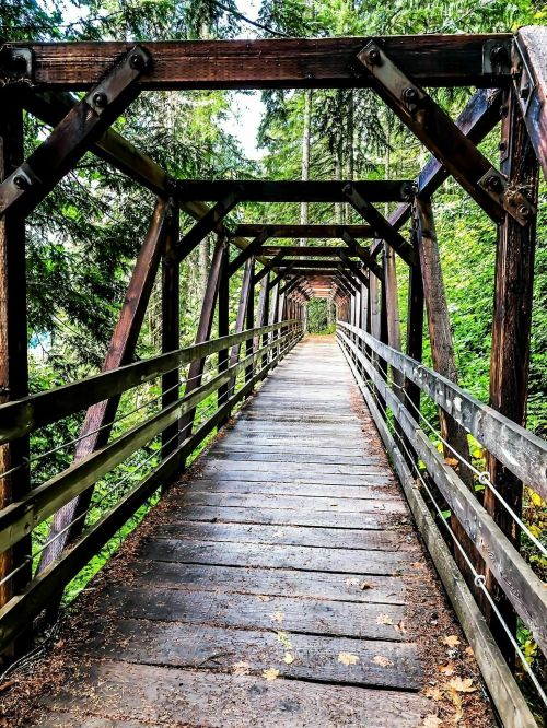 A wooden bridge surrounded by lush greenery, leading into a forested area.