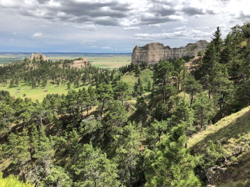 A scenic view of green hills and rocky cliffs under a cloudy sky, surrounded by dense pine trees.