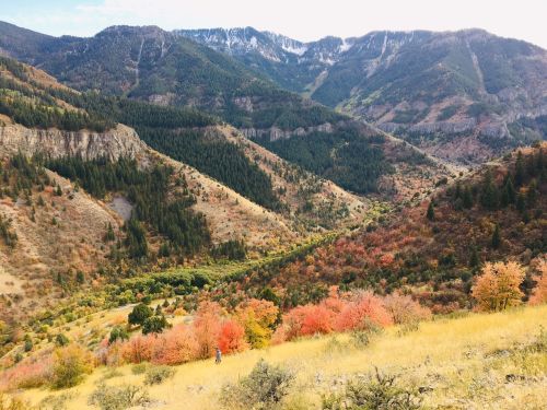 A scenic view of colorful autumn foliage in a mountainous landscape, with rolling hills and a valley below.