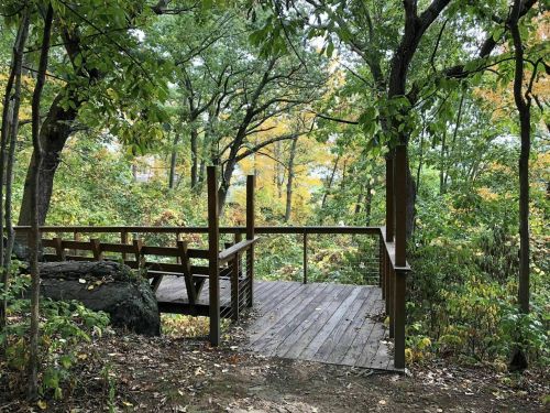 A wooden observation deck surrounded by trees with autumn foliage, overlooking a scenic forested area.