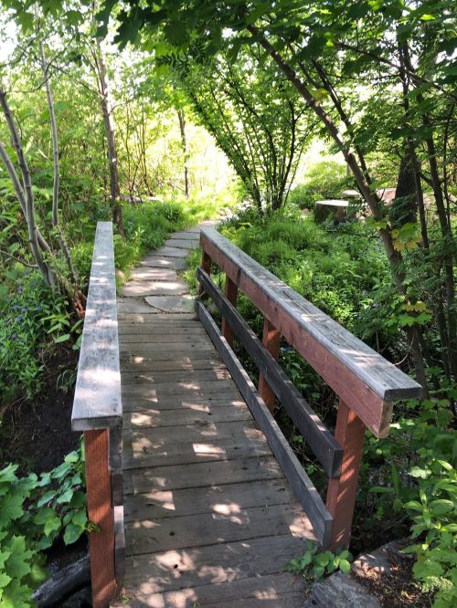 A wooden bridge over a path surrounded by lush greenery and trees in a serene outdoor setting.