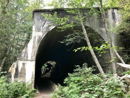 A large, arched tunnel surrounded by trees and greenery, with a path leading into the dark entrance.