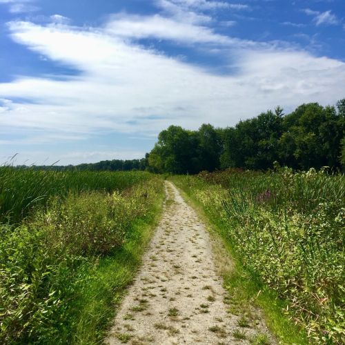A gravel path winds through lush greenery under a blue sky with scattered clouds.