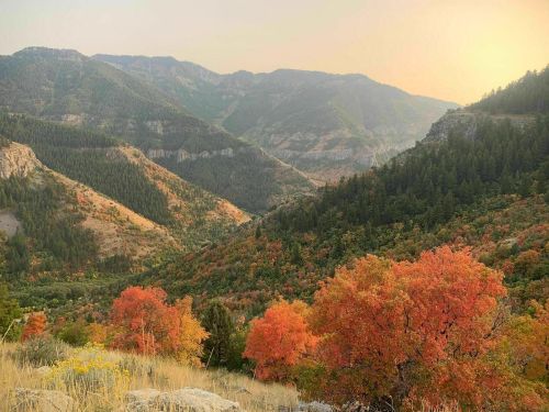 A scenic view of mountains with vibrant autumn foliage in shades of orange and green under a hazy sky.
