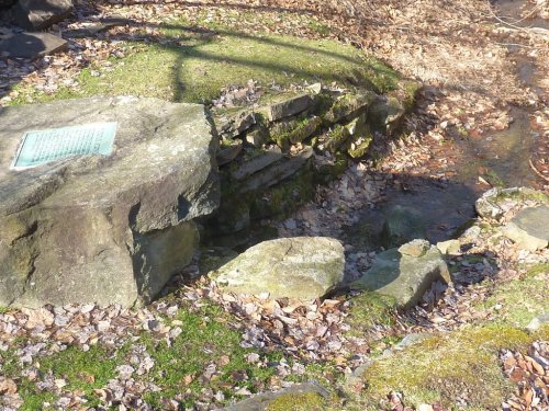 A small stream flows over rocks, surrounded by moss and fallen leaves, with a plaque nearby.