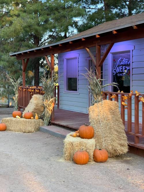 A rustic shop with pumpkins and hay bales, decorated for fall, surrounded by trees and soft purple lighting.