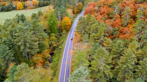 Aerial view of a winding road surrounded by vibrant autumn foliage in shades of orange, yellow, and green.