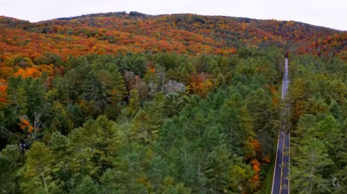 Aerial view of a winding road through vibrant autumn foliage in a forested landscape.