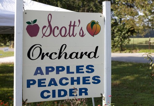 Sign for Scott's Orchard featuring apples, peaches, and cider, set against a rural background.
