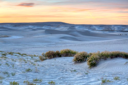 A serene desert landscape at sunset, featuring rolling sand dunes and sparse vegetation against a colorful sky.