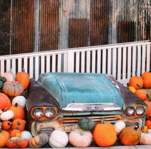 A vintage car partially covered in colorful pumpkins and gourds, set against a rustic backdrop.
