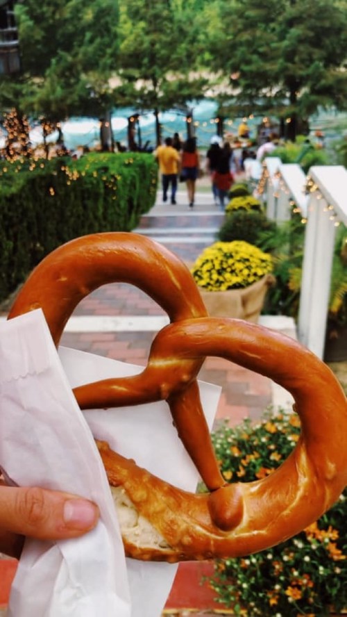 A hand holding a large pretzel in front of a scenic outdoor setting with people walking in the background.