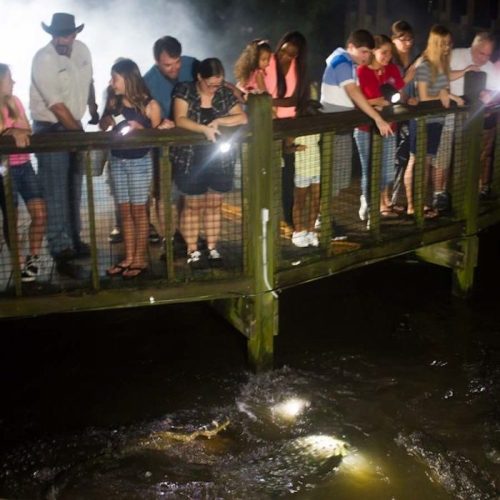 A group of people on a bridge at night, using flashlights to look at the water below, shrouded in mist.