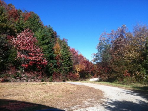 A winding gravel road surrounded by vibrant autumn foliage under a clear blue sky.