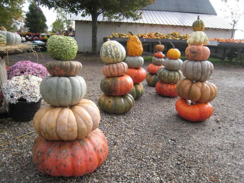 A stack of colorful pumpkins in various shapes and sizes, arranged in a rustic outdoor setting.