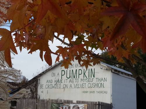 A barn with a quote by Thoreau about pumpkins, framed by vibrant autumn leaves.