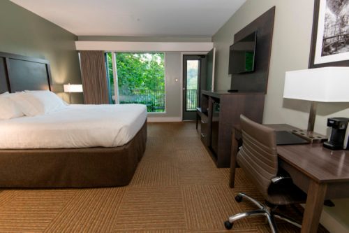 A modern hotel room featuring a king bed, desk, TV, and large windows with a view of greenery outside.