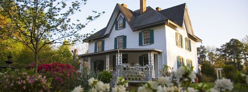 A charming white house with green shutters, surrounded by blooming flowers and lush greenery in a sunny setting.
