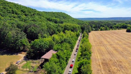 Aerial view of a winding road lined with cars, surrounded by lush green trees and a golden field under a blue sky.