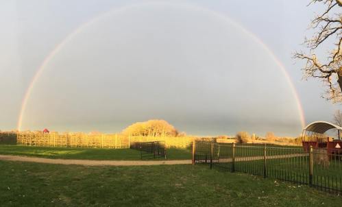 A vibrant rainbow arcs over a green field, with a fence and trees in the foreground under a cloudy sky.