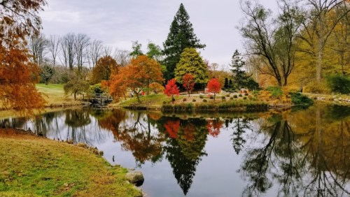 A serene park scene with colorful autumn trees reflecting in a calm pond, surrounded by lush greenery.