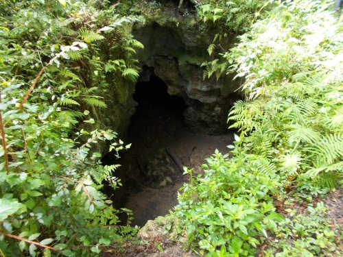 A dark cave entrance surrounded by lush green ferns and foliage in a natural setting.
