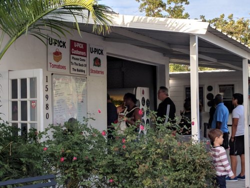 A group of people waiting outside a building with signs for U-Pick tomatoes and strawberries, surrounded by greenery.