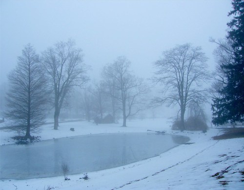 A foggy winter scene with bare trees surrounding a partially frozen pond, covered in snow.