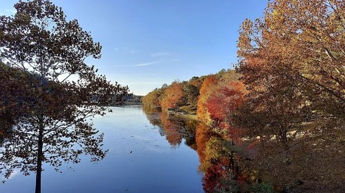 A serene lake surrounded by vibrant autumn trees reflecting in the water under a clear blue sky.